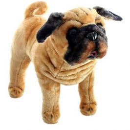 Pes buldog